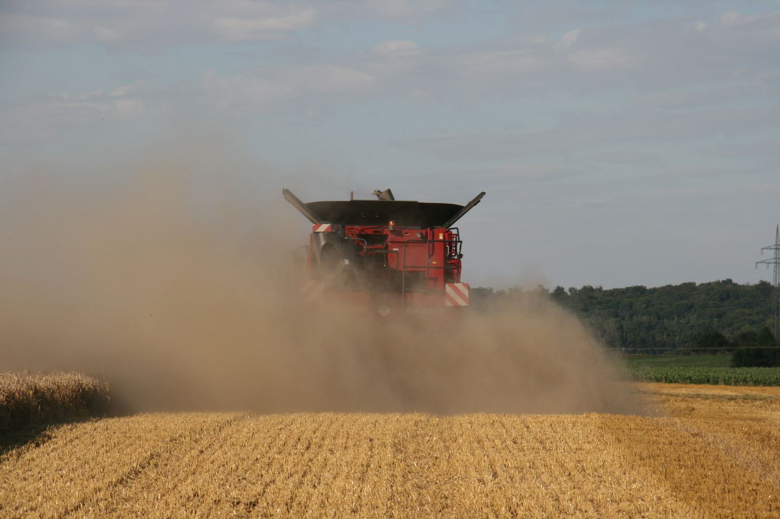 Case IH AF 6130 im Mähdrusch von hinten