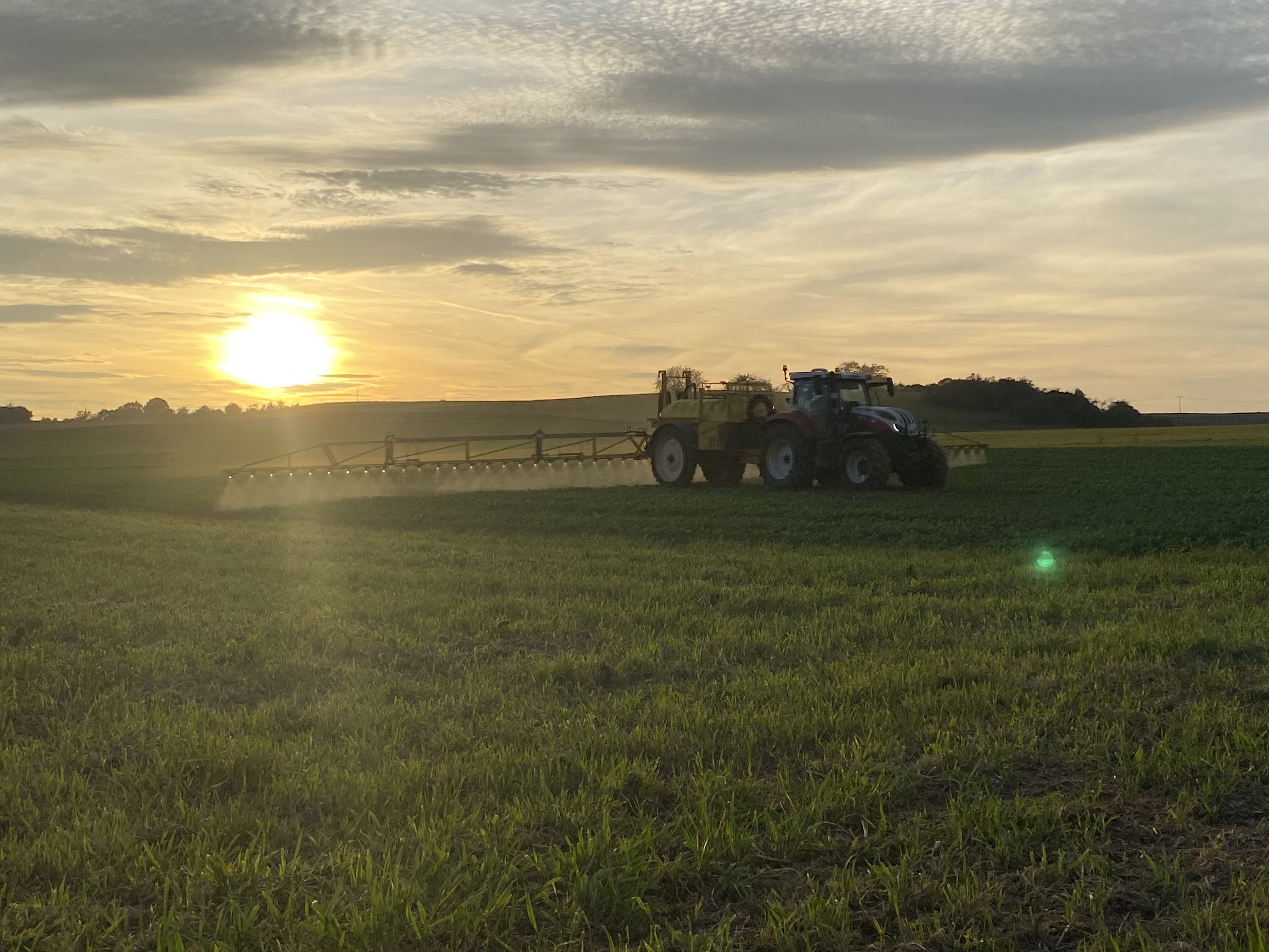 Pflanzenschutz im Getreide